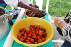 Imagen-de-WhatsApp-2025-10-12-a-las-10.26.28_7415509a