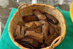 Imagen-de-WhatsApp-2025-11-05-a-las-23.15.15_937a8b6c