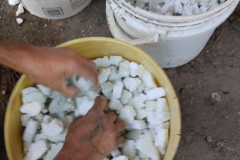 WhatsApp-Image-2025-11-14-at-8.37.47-PM